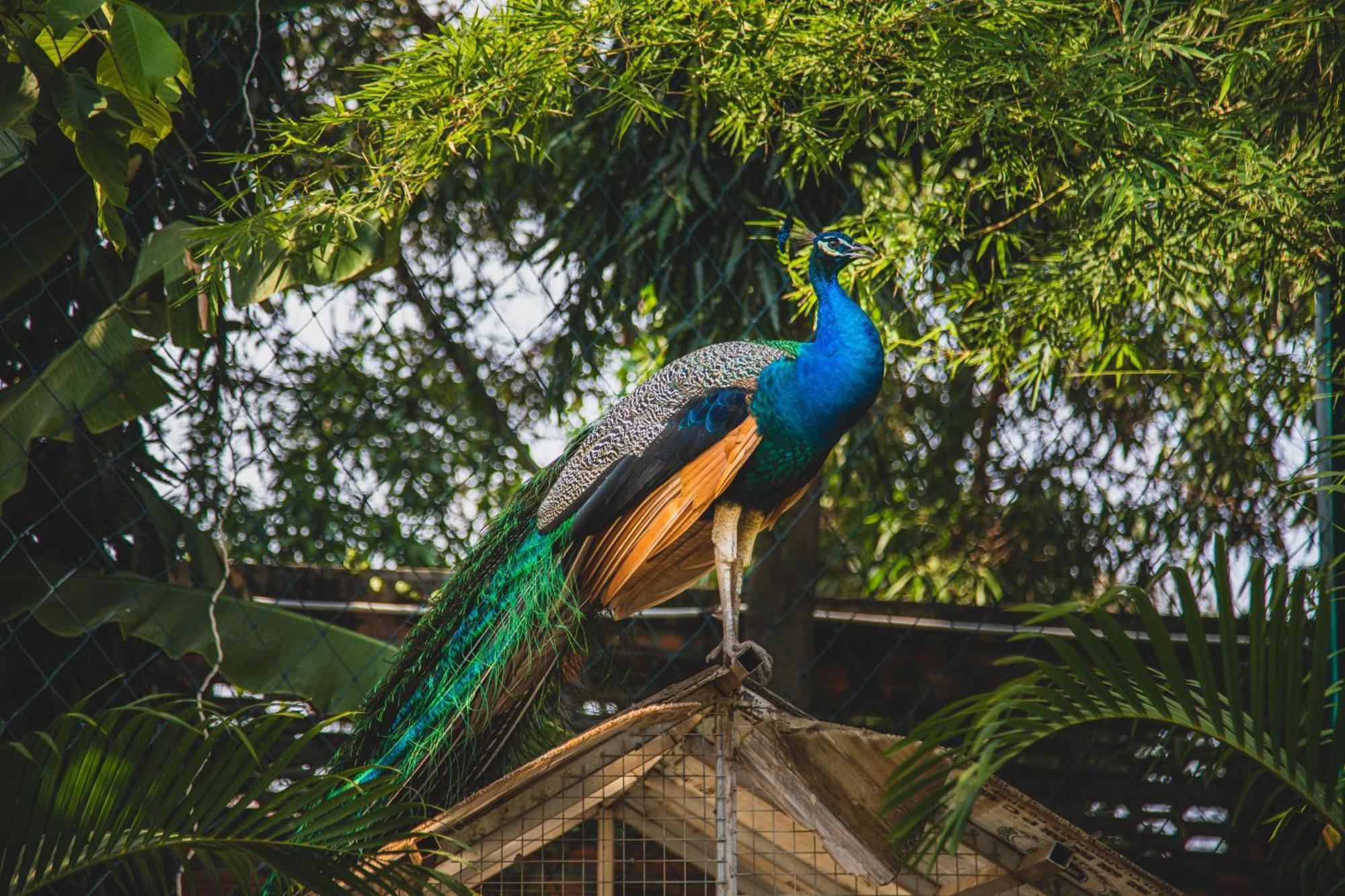 Cambodian Country Club Hotel Phnompen Kültér fotó